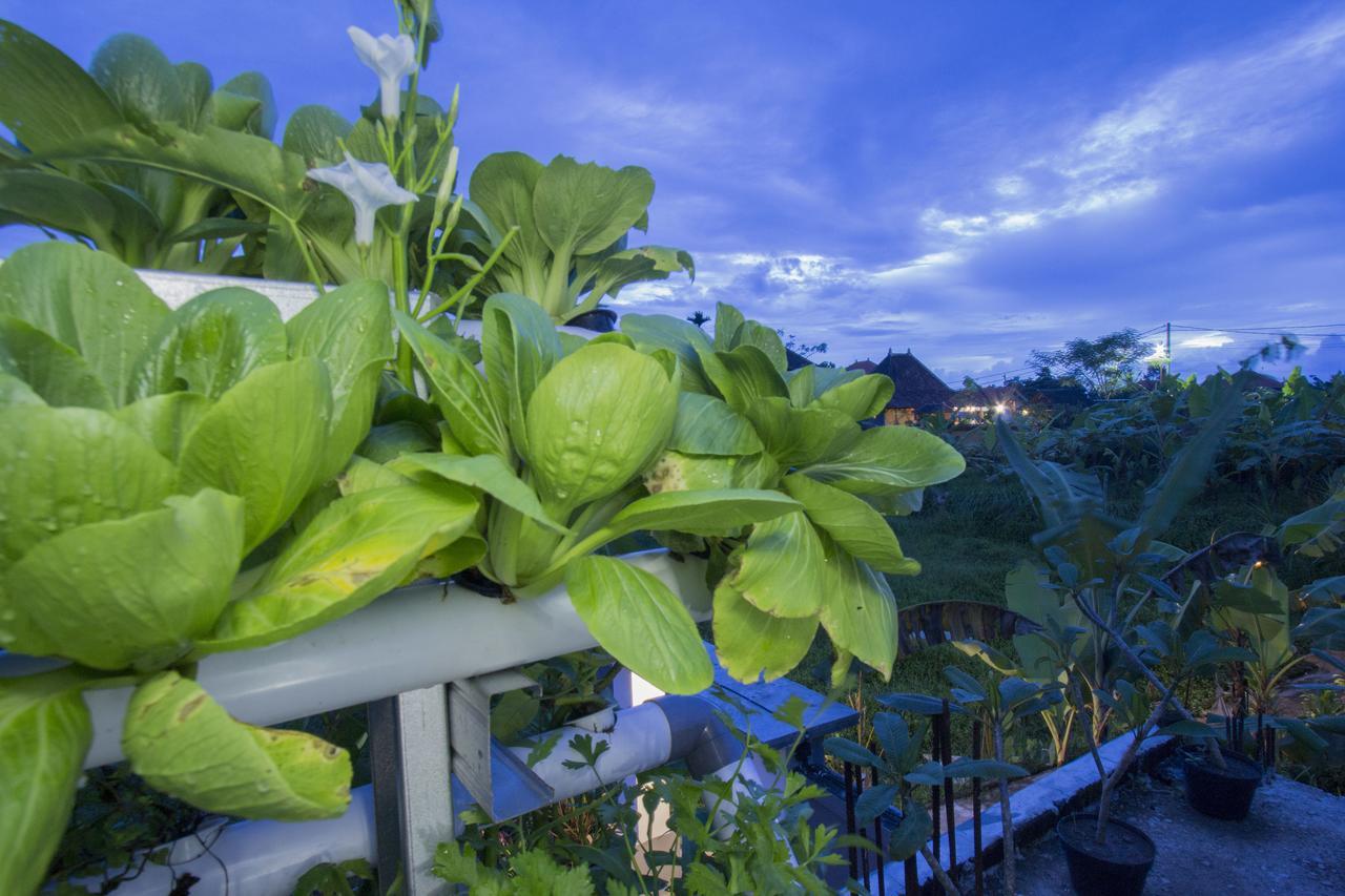 Vinayaka Ubud Екстер'єр фото