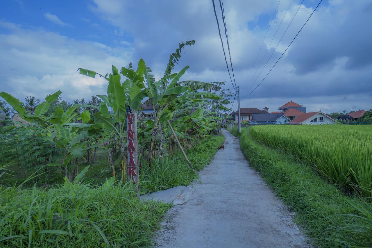 Vinayaka Ubud Екстер'єр фото