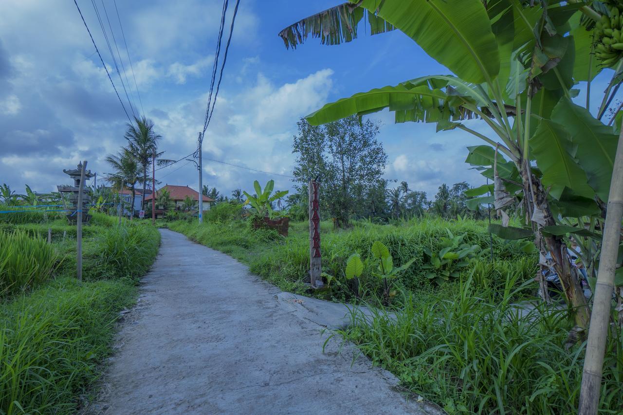 Vinayaka Ubud Екстер'єр фото